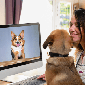 Training that you and your dog will love - online dog training Untitled 12
