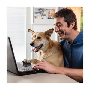 Man with dog looking at computer