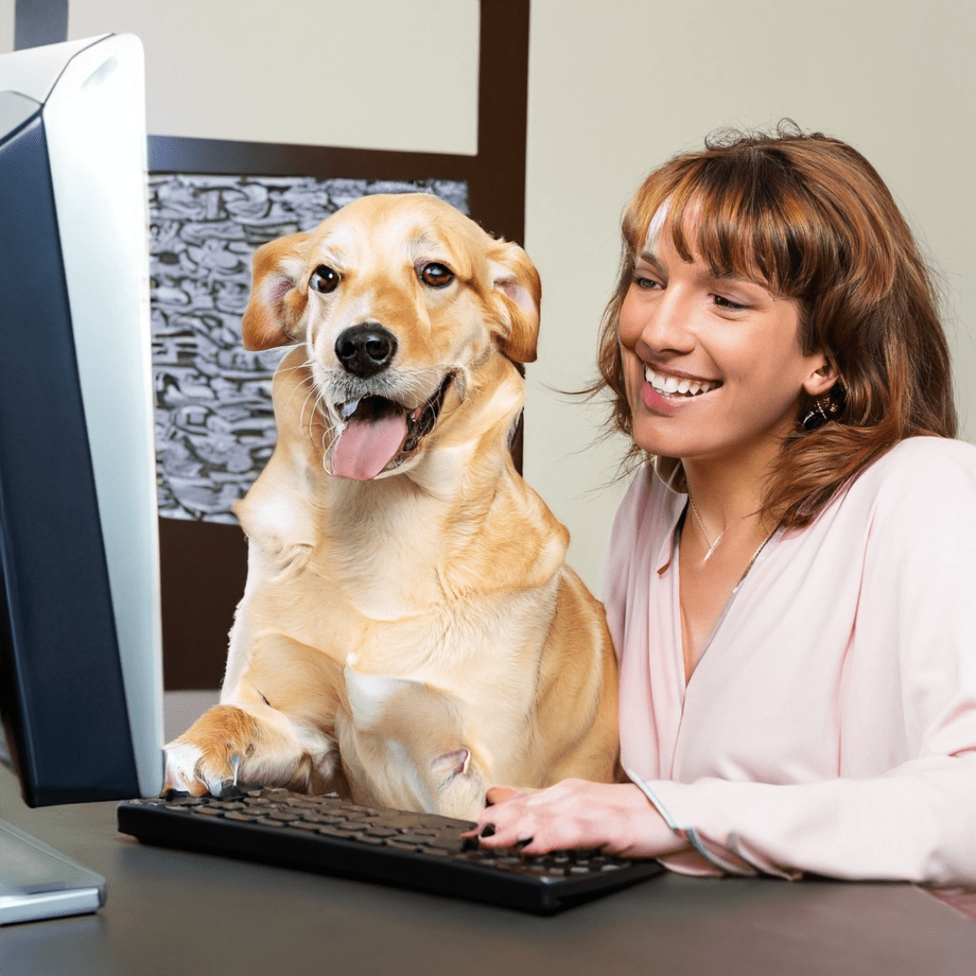 Woman looking at computer with dog