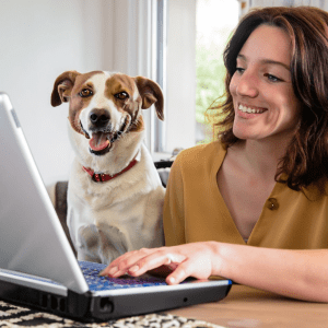 Laptop online dog training